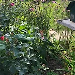 Apartman Gartenblick By Interhome