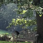 Apartman Gartenblick By Interhome *
